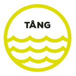 tang Gult Paddelpass hos Horisont Kajak